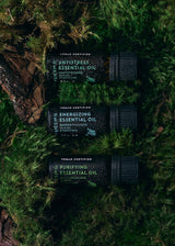 Zestaw olejków eterycznych Alba1913 - 3 x 10 ml