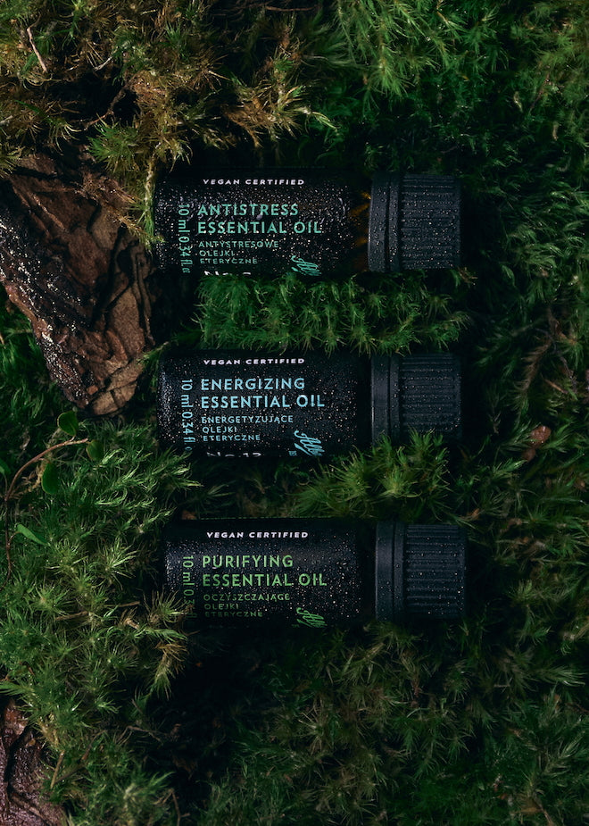 Zestaw olejków eterycznych Alba1913 - 3 x 10 ml